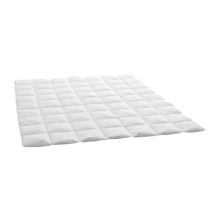 Billerbeck Karoduvet Daunen Swiss Dream Light weiss