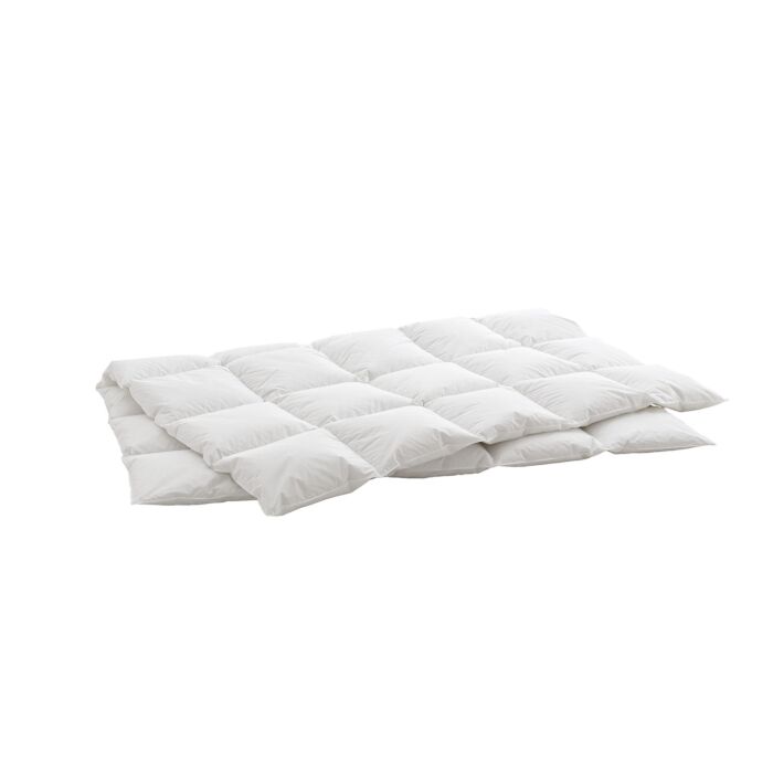 Daunen Kassettenduvet Billerbeck Swiss Dream Caro medium