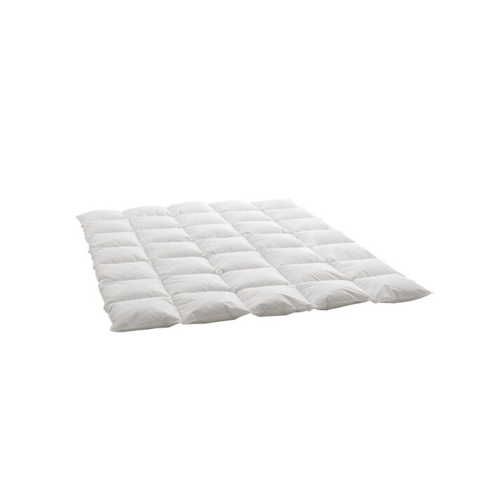 Daunen Kassettenduvet Billerbeck Swiss Dream Caro medium